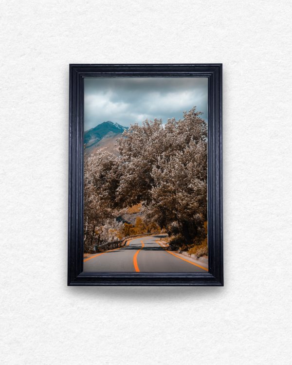 Camino a la Aventura