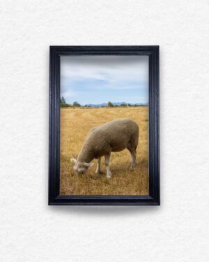 Naturaleza y Tradición